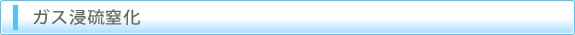 ガス浸硫窒化